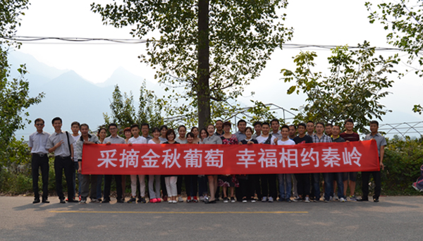 2015年 9月15日，陕西幸福汽车贸易有限公司组织员工来到户县农家葡萄园采摘葡萄，公司执行总经理林总也参与了此次活动。本次活动为增进员工之间的沟通交流，丰富大家的业余文化生活，让大家在体验中卸下工作的压力，为迎接新的工作挑战做准备。